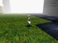 videos de PETest.wmv
