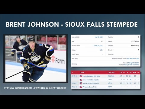 DobberProspects USHL Scouting Report - Brent Johnson, Sioux Falls Stampede