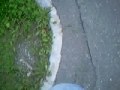 Besser ist das Loben als die Tugendhaftigkeiten zu leugnen