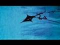 Keane - Night Sky