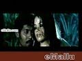 Search Video