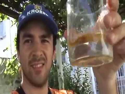 0 Lechón asado de Fin de Año