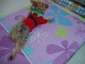Elf Rolls On Bed