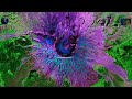 NASA World Wind 1.4 trailer NASA World Wind 1.4 trailer