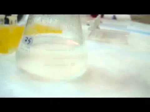 how to isolate aeromonas