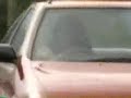 NISSAN Sekai no koibito ?? ?????