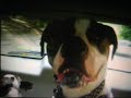 Washington Trip Ghetto version with Music PT. 2