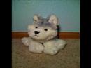 My Awesome Webkinz! My Awesome Webkinz!