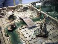 Dwarven Forge - World\