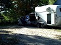 Cali - Guide Horse in Training - End of Week 1