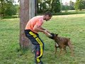treining IPO, Chinów, Kozienice treining IPO, Chinów, Kozienice