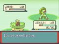 Pokemon Emerald Episode 89 Legends of the Ground and Sea Pokemon Emerald Episode 89 Legends of the Ground and Sea