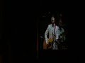 The Decemberists 