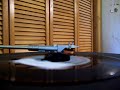 The Turtles - You Showed Me., 45 rpm record