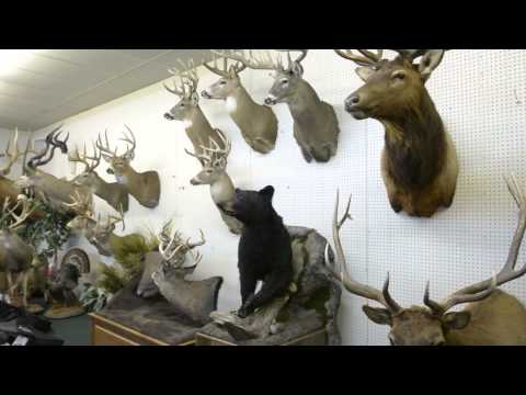 how to use norton snap