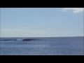 Okinawa Local Surfers on South Shore Hawaii 2009