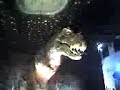 dinosaurios