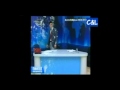 Anchorman Assaulted by Yogurt and Eggs Live!