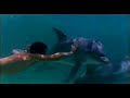 A1 - Summertime Of Our Lives