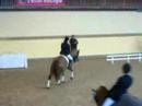 GP Poitiers GP Poitiers