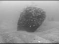 videos de The Steamship Grecian