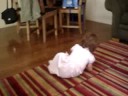 YaYa Walks 2