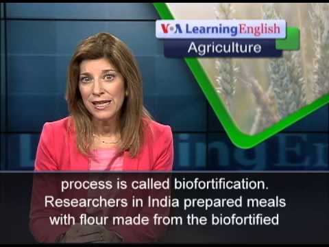 how to reduce iron levels