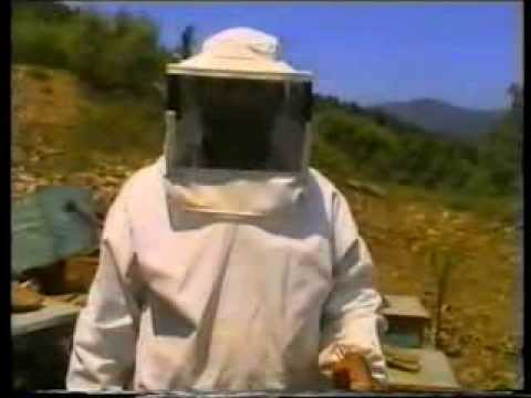 πυργος - 1994. Ερασιτεχνικό Ντοκιμαντέρ του Γεώργιου Σπύρου για την αγροτική παραγωγή στον Πύργο Σάμου. Ομιλούν οι Πυργιώτες: Χατζηδημητρίου...