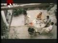 Cult Book - Il giorno della civetta