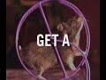 CBS4 Promotion reel