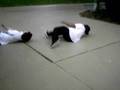 videos de Rolfcopter