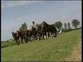 videos de Il polo alle Olimpiadi