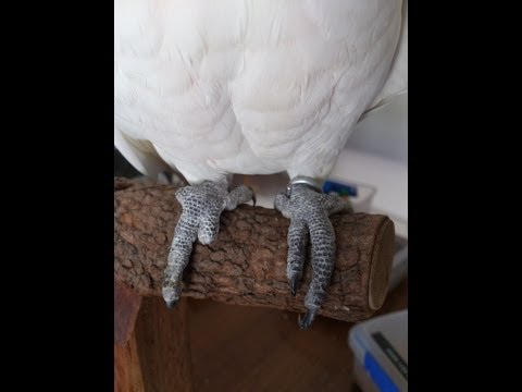 how to treat nylon rope burn