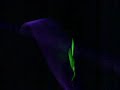 Sandstorm Rave
