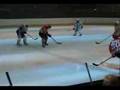 Bisons de Neuilly-sur-Marne