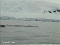 Lucky Penguin