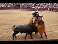 torero asesino