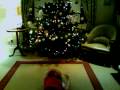 videos de the attack of the puppets!!! christmas special