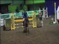 KEC Alicante- 1999 gelding x Glidawn Diamond. Placed 9th in the 1.40-1.50m International Class @ Cavan International Show 2010. Ridden by Sinead Kennedy
