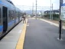 播州赤穂にて 213系入線