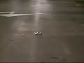 STOCK MINI Z MR01 - RC CARPARK DRIFTING