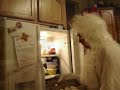 a day in the life of a ordinary chicken a day in the life of a ordinary chicken