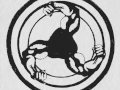 Video Bicep - Darwin Video Bicep - Darwin