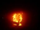 Training Fire w/ PFD