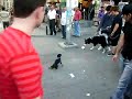Small Vs Big_mpeg2video.mpg
