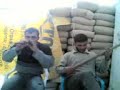 HAMAL STAR HAMAL STAR
