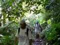 Hike Penville Capuchin - video impressions