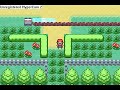 Pokemon Hack (Delivering  the Parcel)