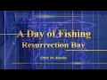 Alaska Hamons Fishing and Whale Breachings 2009.mp4