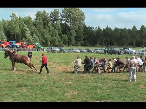 Um cavalo contra 18 homens